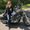 Photo of Staci D.
