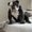 Photo of Bruna B.