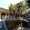 Photo of 4106 Rosewood Ave M.