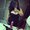 Photo of Aileen C.
