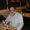 Photo of Jonathan S.