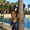 Photo of Mirela S.