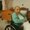 Photo of Jassett M.