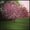 Photo of Adrienne W.