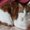 Photo of Qype User (LadyCh…)