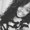 Photo of Brianne P.