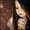Photo of Quynh L.
