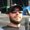 Photo of Tyler H.