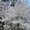 Photo of Summit B.