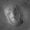 Photo of Tor D.