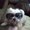 Photo of Traci L.