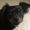 Photo of Pebbles-Contessa G.