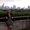 Photo of Michelle M.