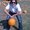 Photo of Amy N.