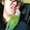 Photo of Shayne S.