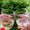 Photo of Christine A.