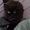 Photo of Alyssa S.