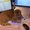 Photo of Marle A.