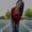 Photo of Tahilia R.