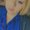 Photo of Melissa S.