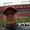 Photo of Taite R.
