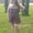 Photo of Lauren N.