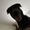 Photo of Aiden A.