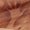 Photo of One S.