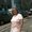 Photo of Luz M. A.