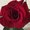 Photo of Letha B.