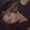 Photo of Marlenne M.