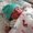 Photo of Karrie F.