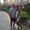 Photo of Brittney F.