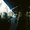 Photo of Lorien S.