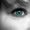 Photo of Tammy R.