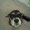 Photo of Nichol B.