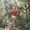 Photo of Dawn M.