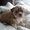 Photo of Qype User (jodii…)