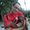 Photo of Kyle V.