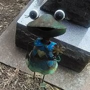 google avatar