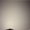 Photo of Karla K.