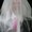 Photo of Dolf S.