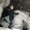 Photo of Sarah E.