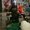 Photo of Qype User (donald…)