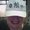 Photo of Denice S.