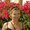 Photo of Nikki M.