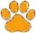 Photo of Gatto G.