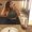 Photo of Leticia F.