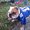 Photo of Bella P.