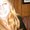 Photo of Stephanie R.
